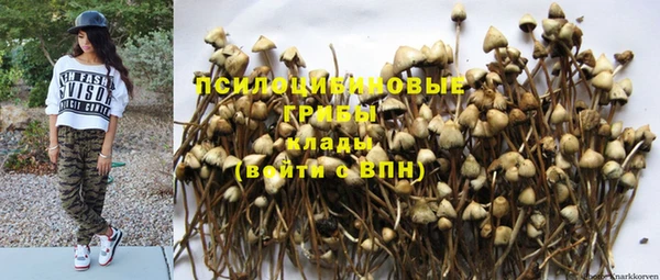 СК Рославль