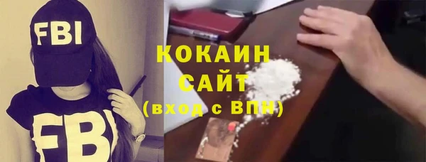 гидра Вязьма