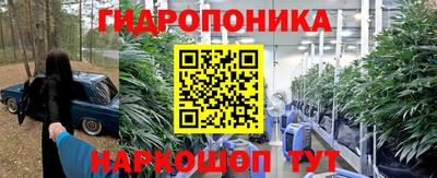 ALPHA PVP Ярославль