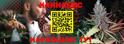 ALPHA PVP Ярославль