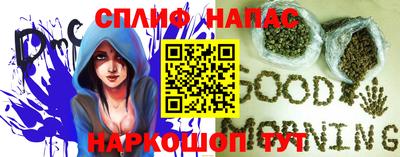 ALPHA PVP Ярославль