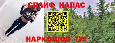 ALPHA PVP Ярославль