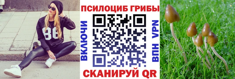 Галлюциногенные грибы мухоморы  Рославль 