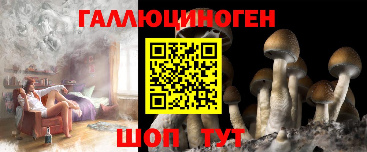 Псилоцибиновые грибы Psilocybe Рославль